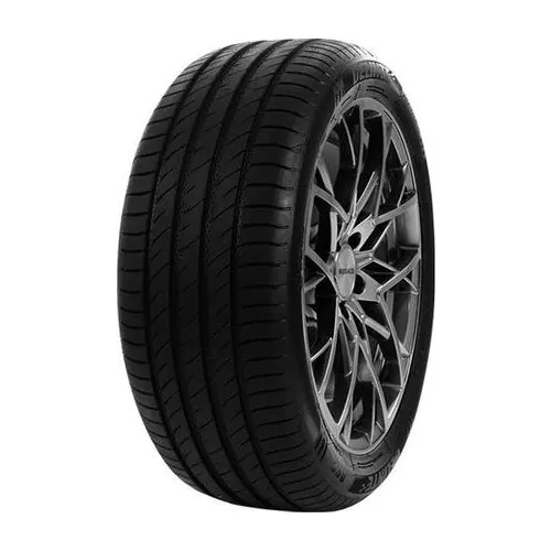 205/60 R16 DELINTE DS2