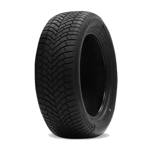 205/60 R16 DOUBLE COIN DCO-MAX