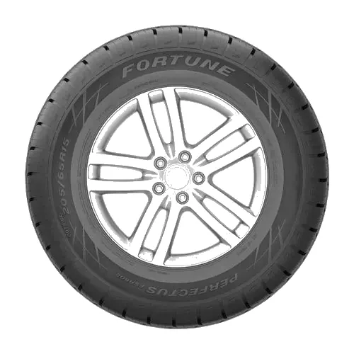 205/60 R16 FORTUNE PERFECTUS FSR-602