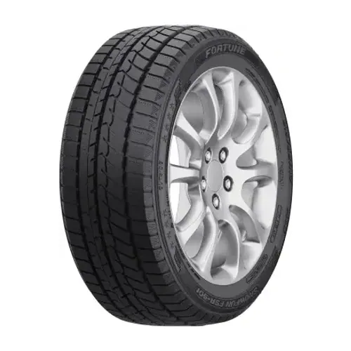 205/60 R16 FORTUNE SNOWFUN FSR-901