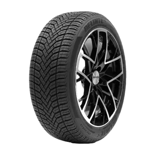 205/55 R16 DELINTE AW6 91V