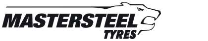 MASTERSTEEL