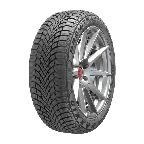 215/60 R16 MAXXIS WP6 99H